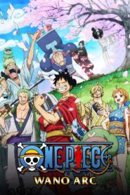 One Piece: Season 21